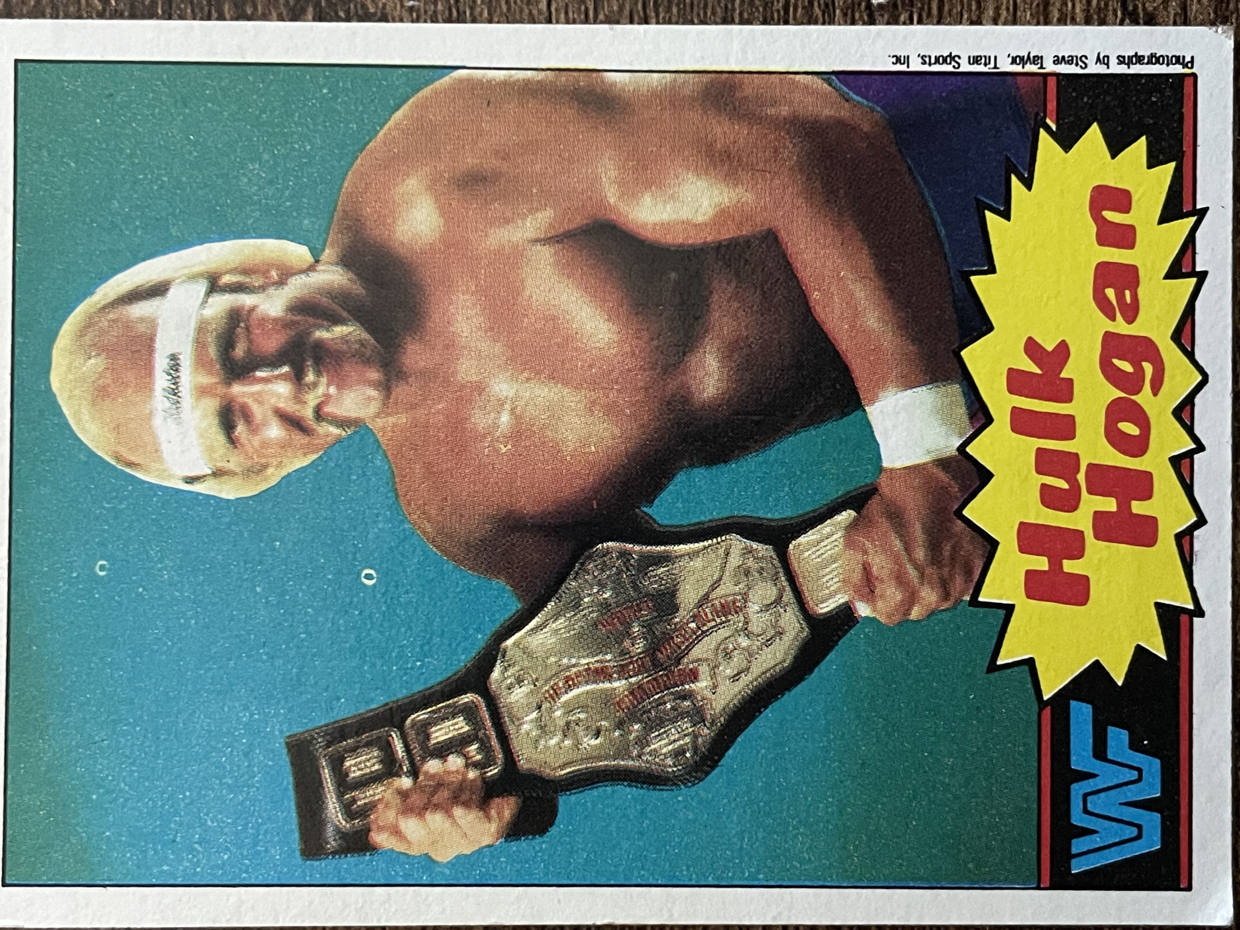 Hulk Hogan #16